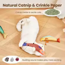 Catnip Fish Toy – Realistic Bite-Resistant Design